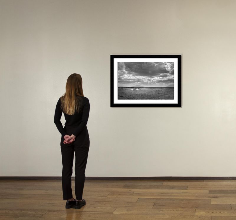 24 x 36 in., edition of 15